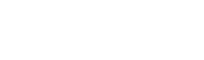 vanWEINS-Logo-White-Outline